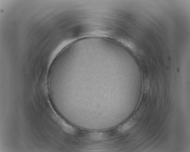 X0000062831470200601201600