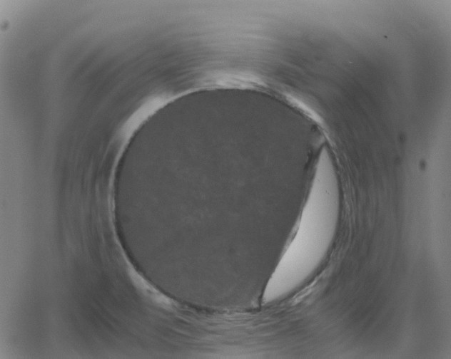 X0000062831471200601201600