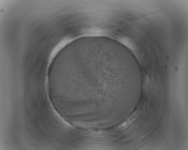 X0000062831472200601201600