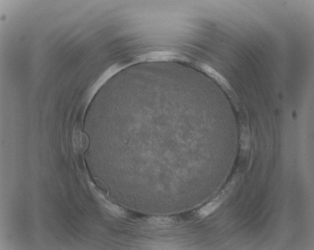 X0000062831473200601201600