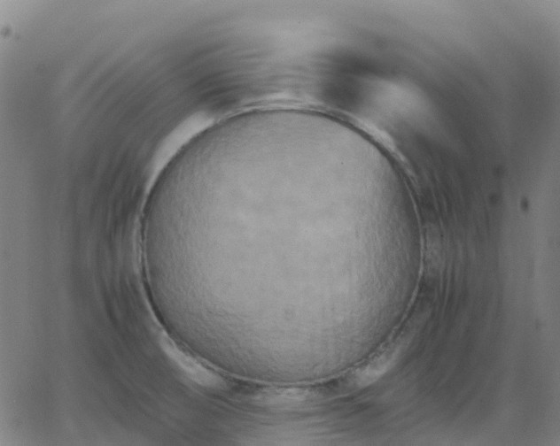 X0000062831474200601201600