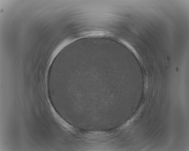 X0000062831475200601201600