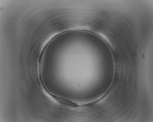 X0000062831476200601201600