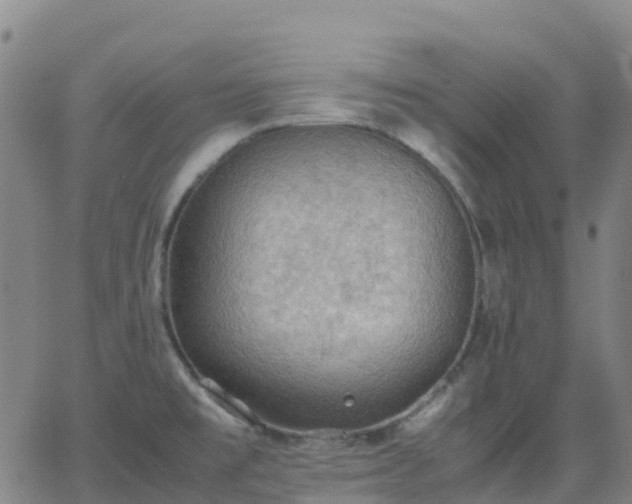 X0000062831477200601201600