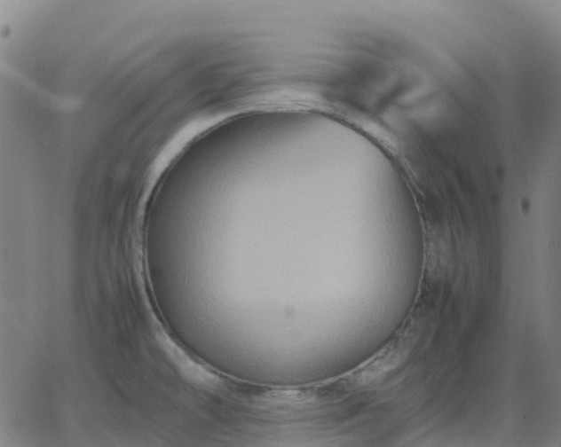 X0000062831478200601201600