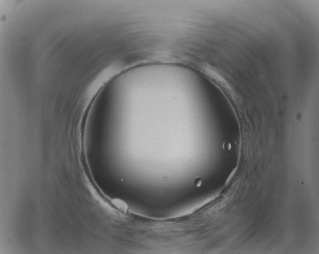 X0000062831479200601201600