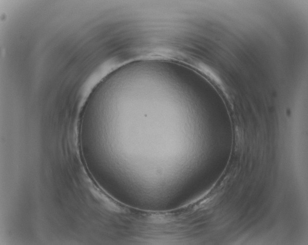 X0000062831480200601201600