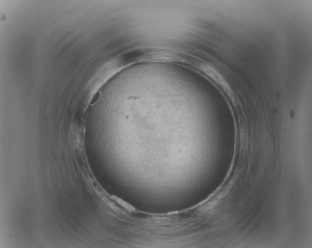 X0000062831481200601201600