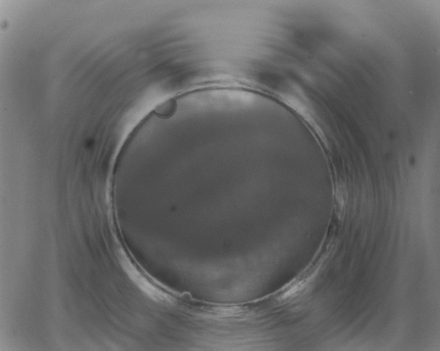 X0000062831482200601201600