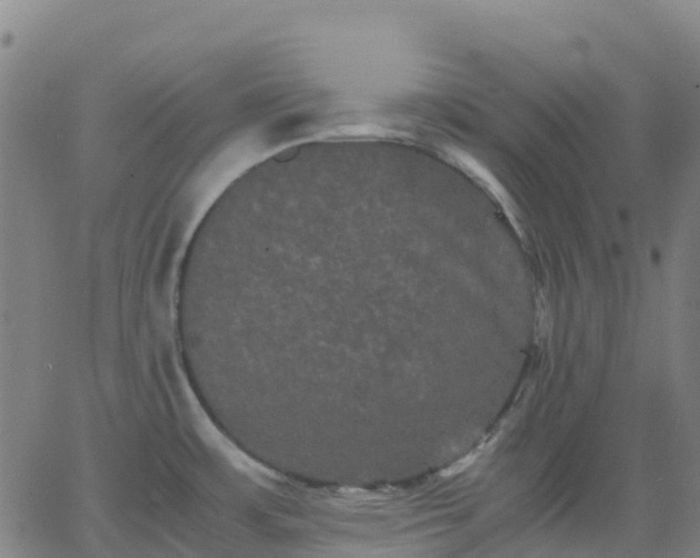 X0000062831483200601201600