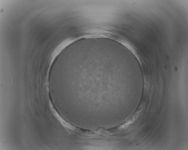 X0000062831485200601201600