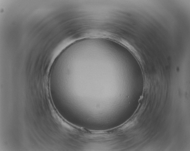 X0000062831486200601201600