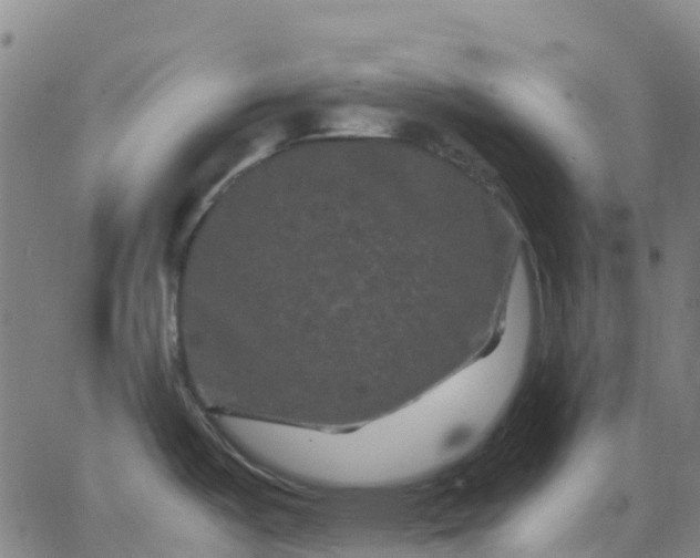 X0000062831487200601201600