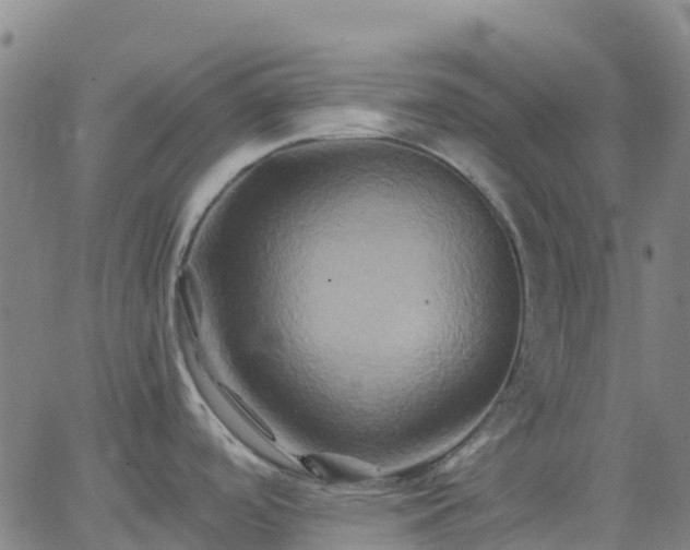 X0000062831488200601201600