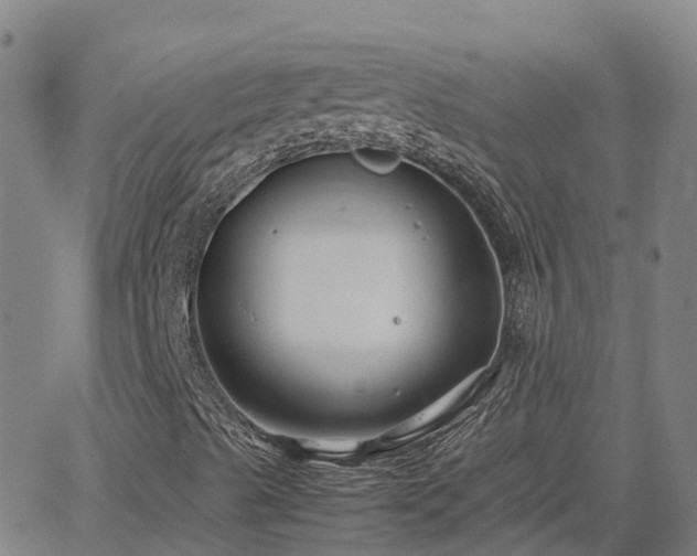 X0000062831489200601201559