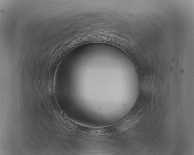 X0000062831490200601201559