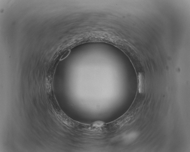 X0000062831491200601201559