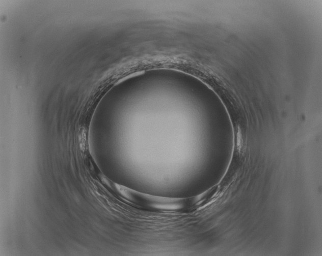 X0000062831492200601201559