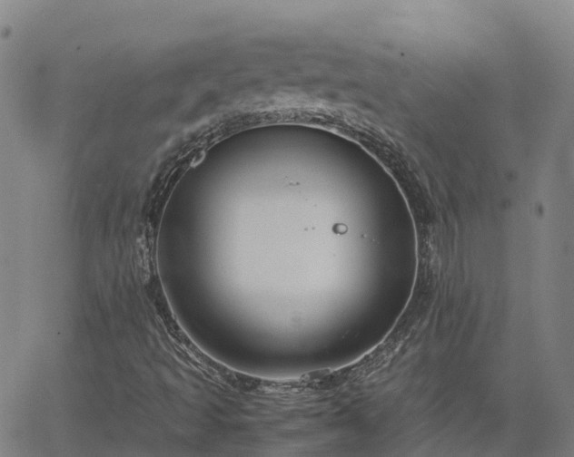 X0000062831493200601201559