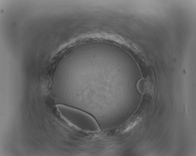 X0000062831494200601201559