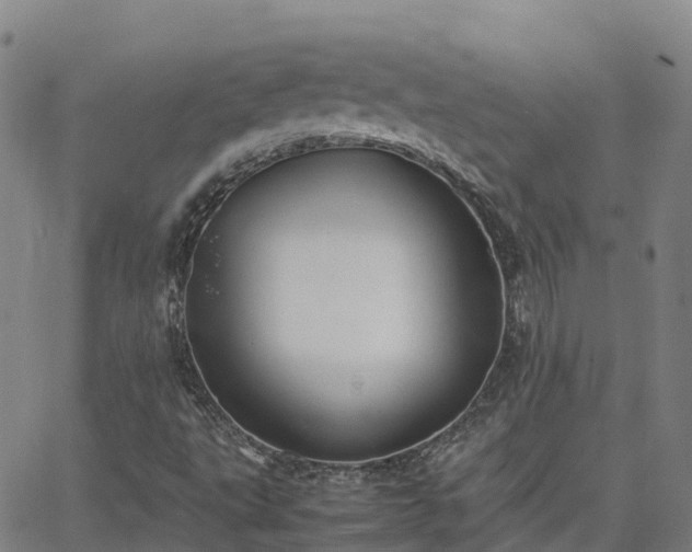 X0000062831495200601201559