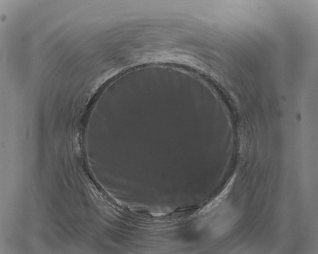 X0000062831497200601201559