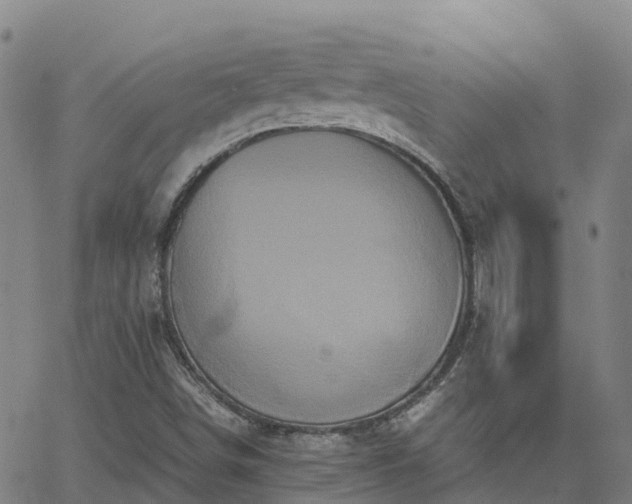 X0000062831498200601201559