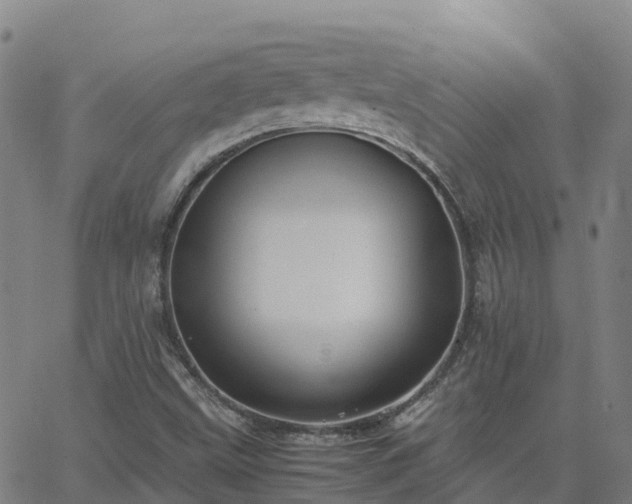 X0000062831499200601201559