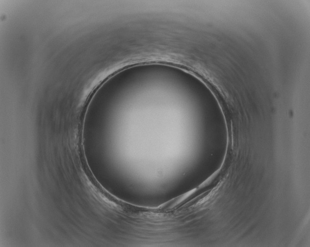 X0000062831500200601201559