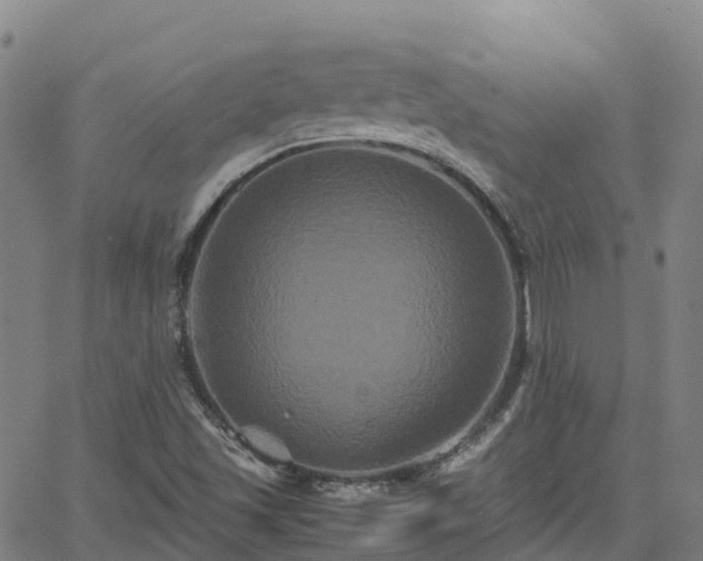 X0000062831501200601201559