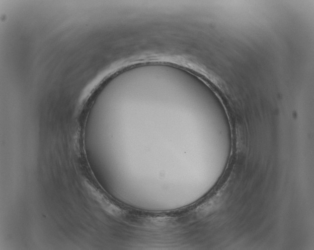 X0000062831502200601201559