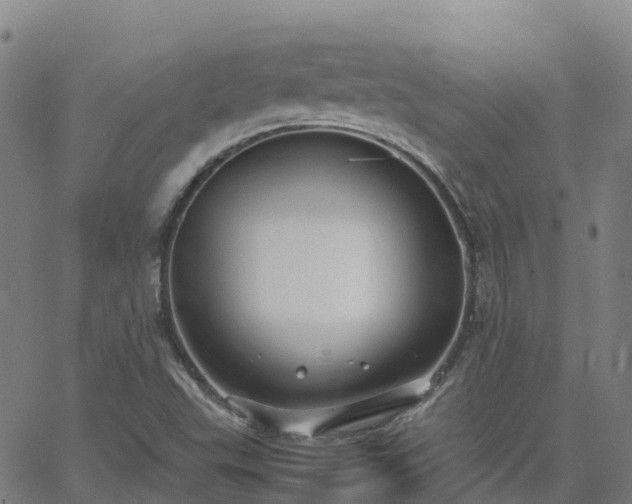 X0000062831503200601201559