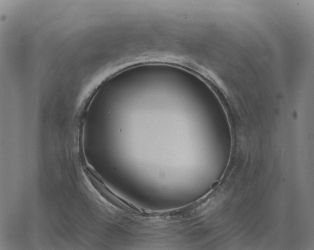 X0000062831504200601201559