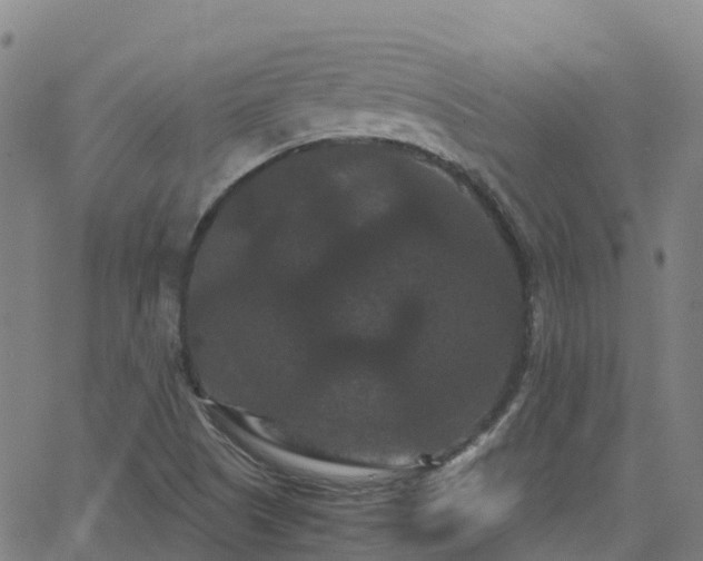 X0000062831505200601201559