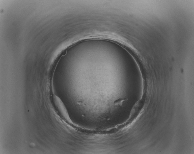 X0000062831506200601201559