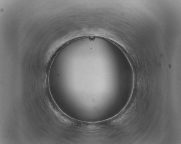 X0000062831507200601201559