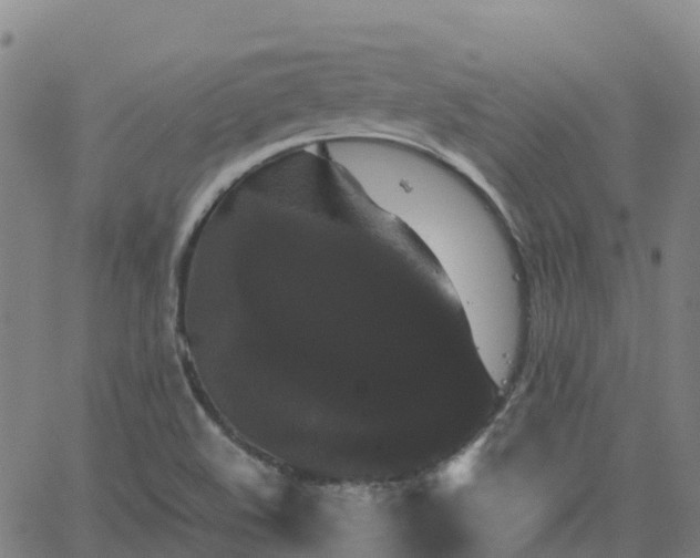 X0000062831508200601201559