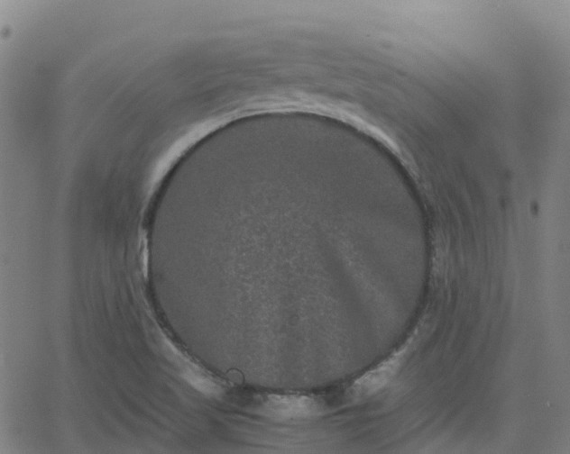 X0000062831509200601201559