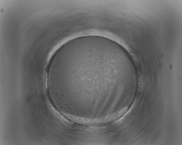 X0000062831510200601201559