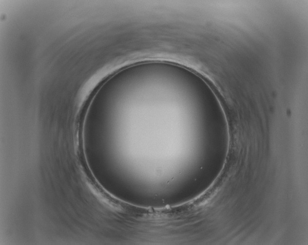 X0000062831511200601201559