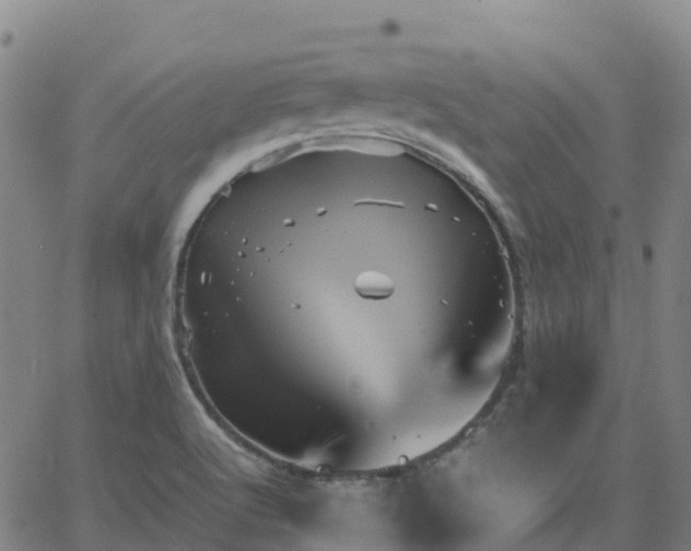 X0000062831512200601201600