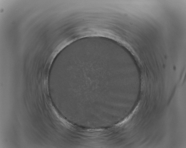 X0000062831513200601201600