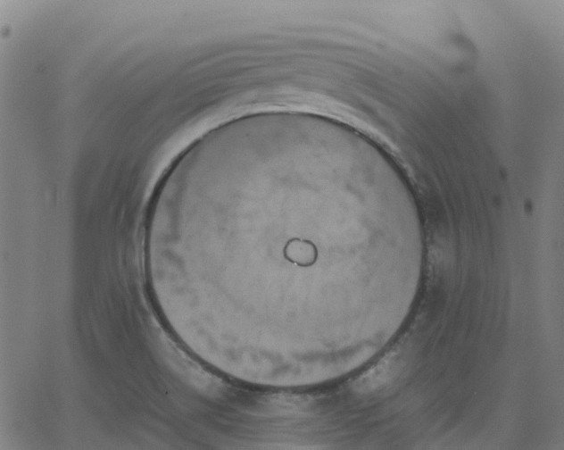 X0000062831514200601201600