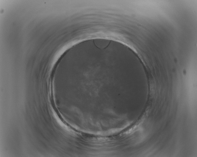 X0000062831515200601201600