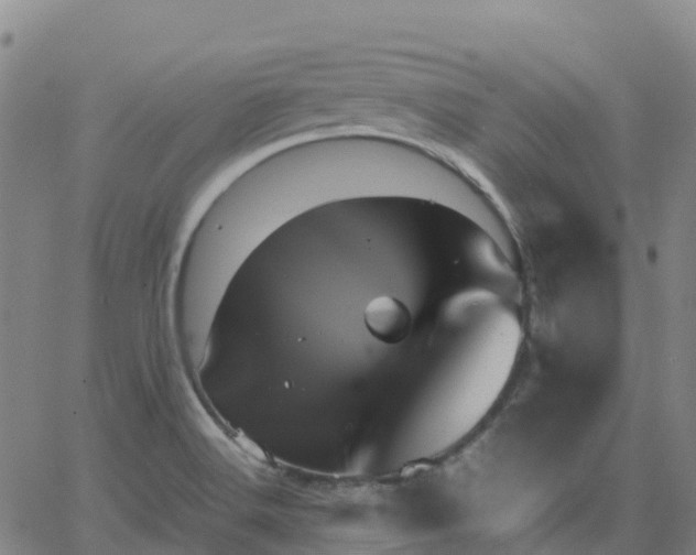 X0000062831516200601201600