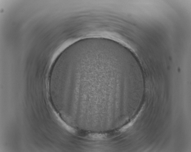 X0000062831517200601201600