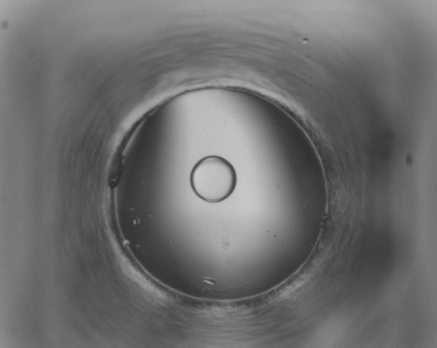 X0000062831518200601201600