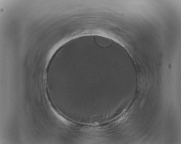 X0000062831519200601201600