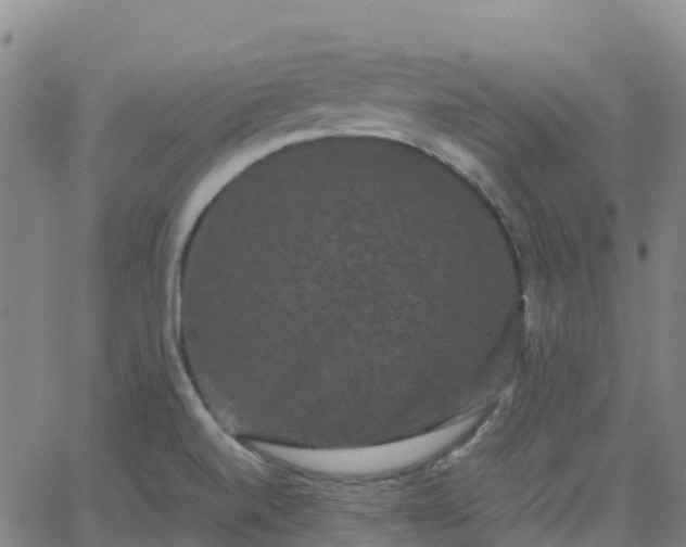 X0000062831520200601201600