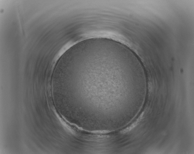 X0000062831521200601201600